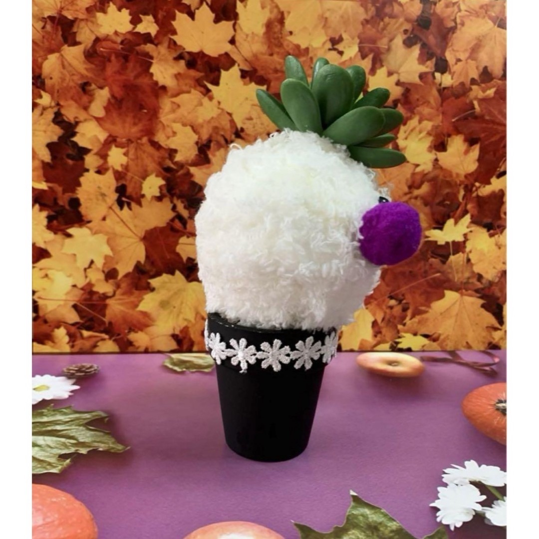 もこふわ モコピヨ 観葉植物 ハンドメイドのぬいぐるみ/人形(ぬいぐるみ)の商品写真