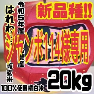 ☆新米☆令和５年産　★青森県産はれわたり★精白米★５kg×４袋★合計２０kg★(米/穀物)