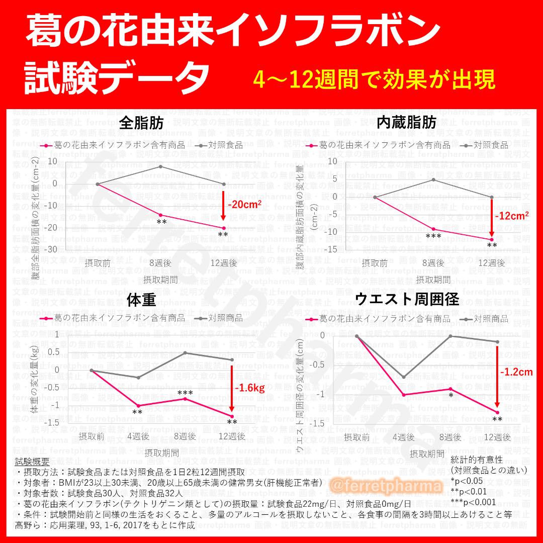 【機能性表示食品】DUEN シボヘルシ 60粒 30日分 1袋 エンタメ/ホビーのエンタメ その他(その他)の商品写真