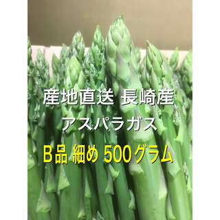 産直長崎産アスパラガスB品 細め 500グラム(野菜)