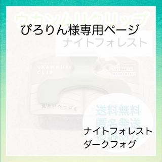 サンスターブング(Sunstar Stationery)の【新品未使用】 ナイトフォレスト ダークフォグ 文具(その他)