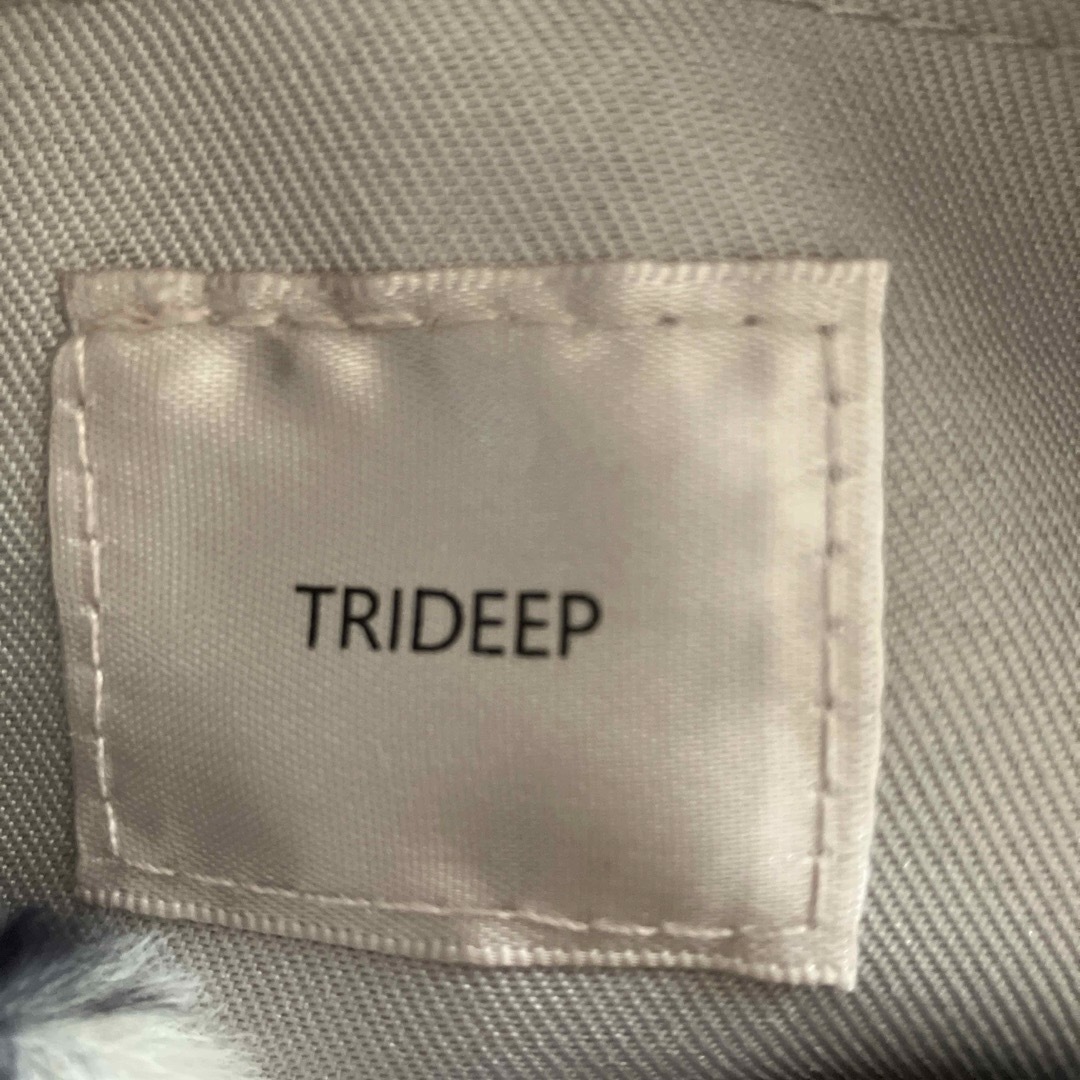 Trideep(トライディープ)の新品タグ付き　トートバック　ヒョウ柄ポーチ　ショルダーバック レディースのバッグ(トートバッグ)の商品写真