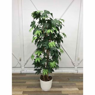 【引き取り限定】フェイクグリーン　人工観葉植物　ヤツデ　高さ約180cm(置物)