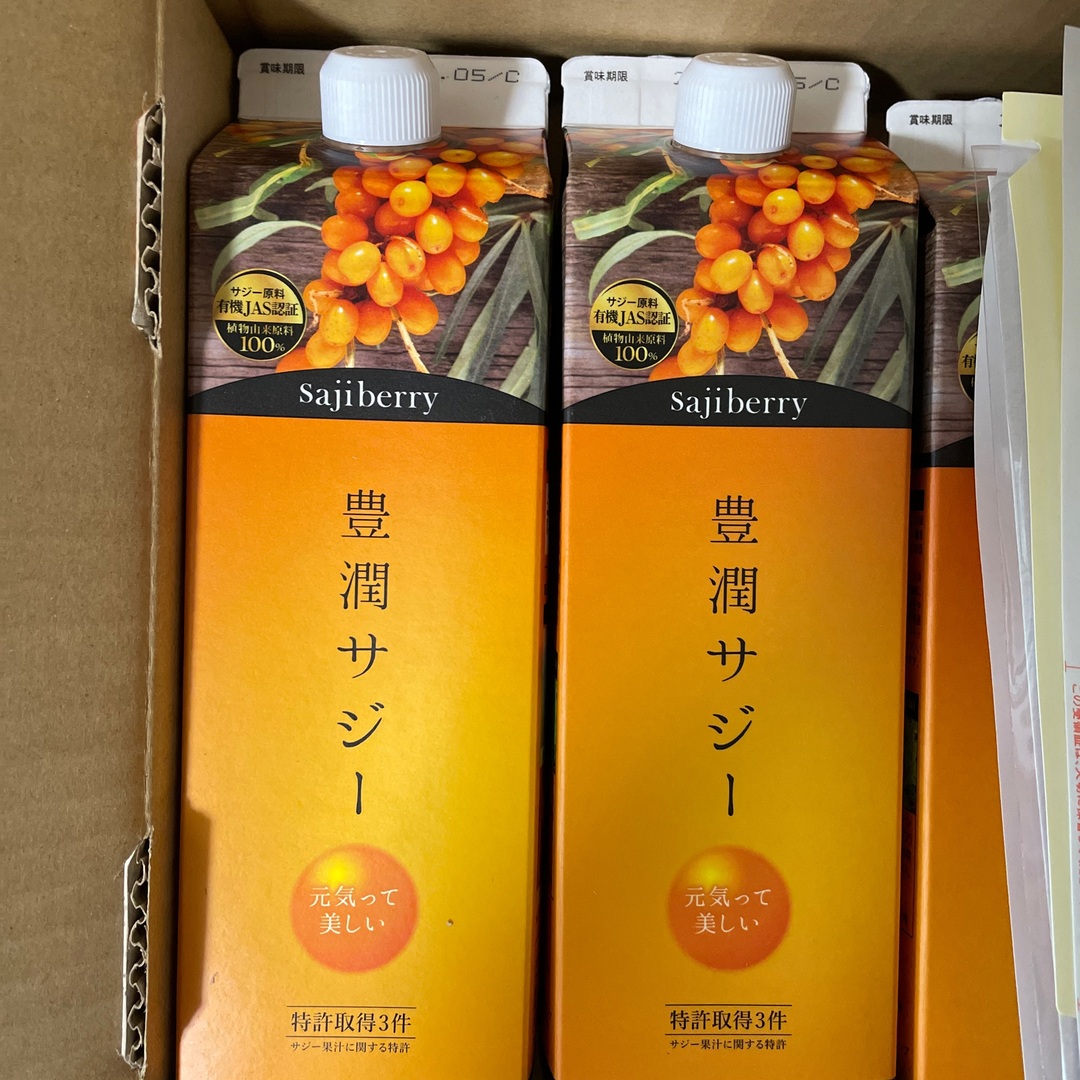 Finess(フィネス)のフィネス 豊潤サジー 1000ml  食品/飲料/酒の健康食品(その他)の商品写真