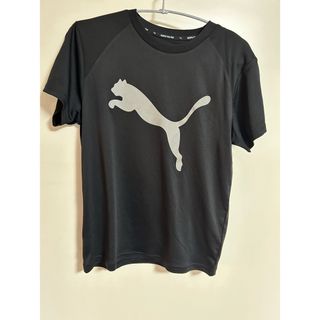 プーマ(PUMA)の【PUMA】半袖150㎝(Tシャツ/カットソー)