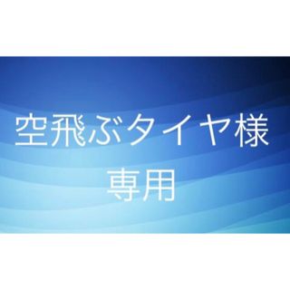 空飛ぶタイヤ様　専用(その他)