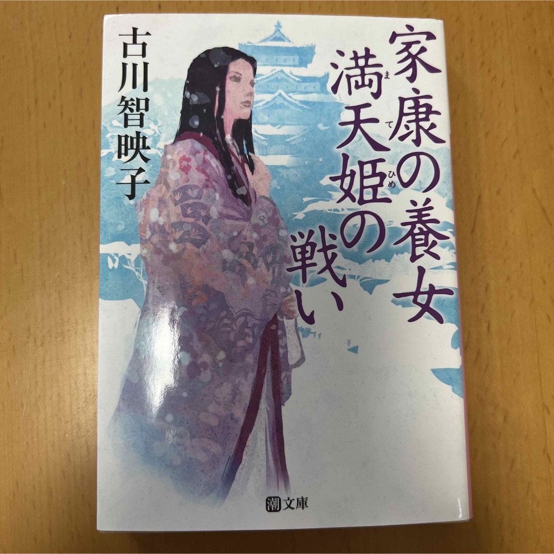 家康の養女満天姫の戦い エンタメ/ホビーの本(文学/小説)の商品写真