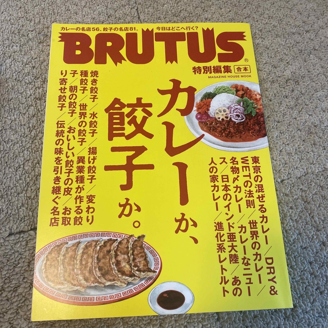 マガジンハウス(マガジンハウス)のカレーか、餃子か。 エンタメ/ホビーの本(地図/旅行ガイド)の商品写真