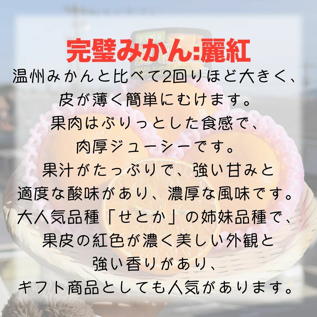 翌日発送 麗紅 黒箱３㌔ 高級 みかん 検)せとか まどんな はまさき  食品/飲料/酒の食品(フルーツ)の商品写真