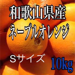 ネーブルオレンジ　10kg (フルーツ)