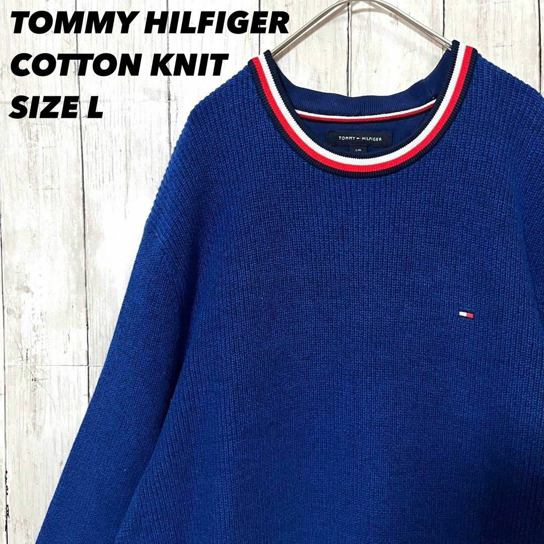 TOMMY HILFIGER(トミーヒルフィガー)のUS古着　トミーヒルフィガー刺繍ロゴリブライン入りコットンニットセーター L青 その他のその他(その他)の商品写真