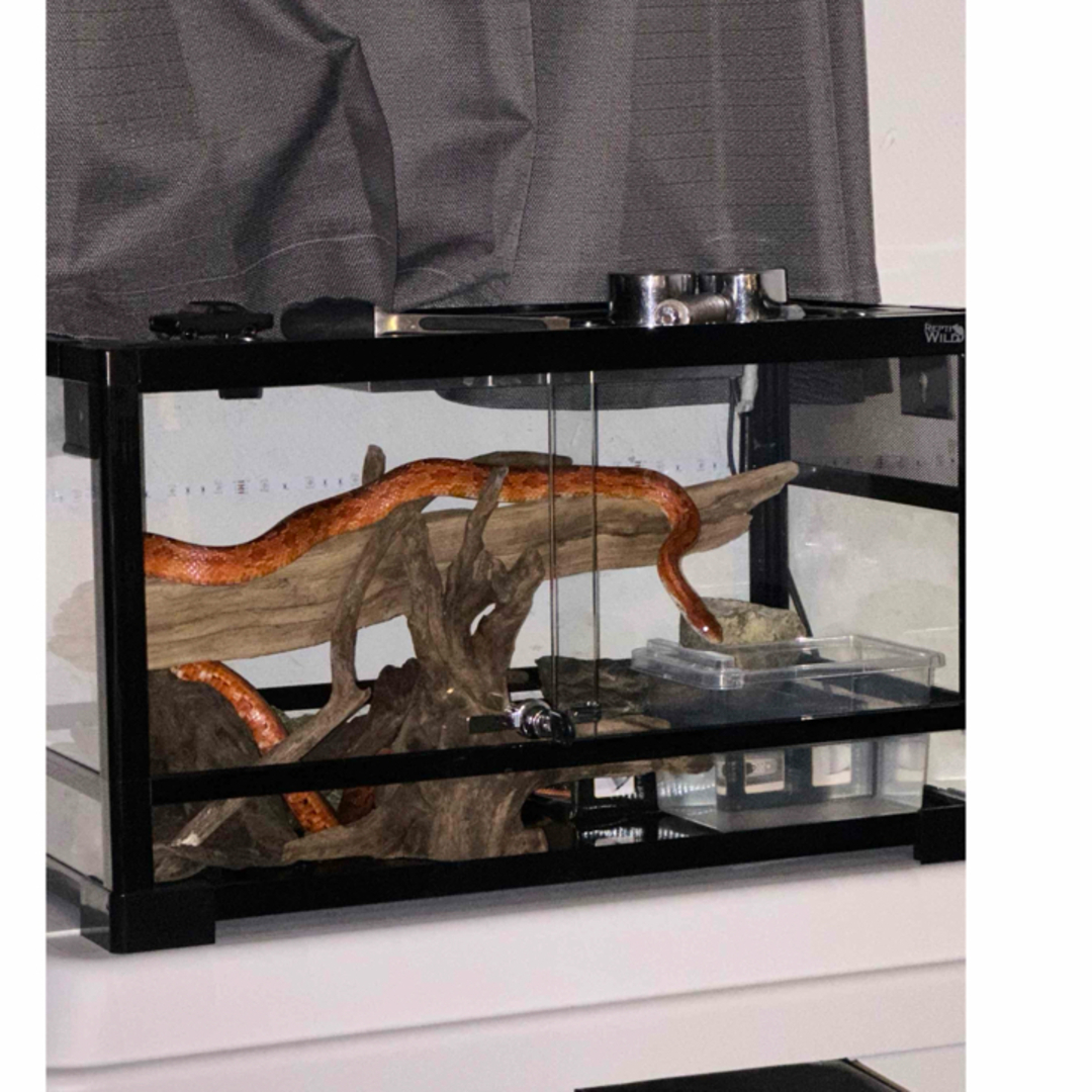 SANCO(サンコー)の〚爬虫類初心者オススメ🔰〛爬虫類用60cmケージ その他のペット用品(爬虫類/両生類用品)の商品写真