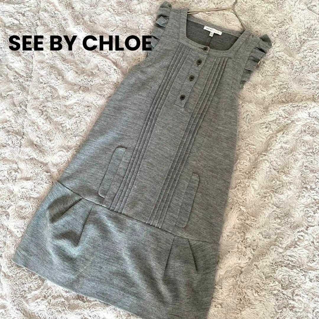 SEE BY CHLOE(シーバイクロエ)の美品　SEE BY CLOE ワンピース　スカート　フレア　グレー　フリル レディースのワンピース(ひざ丈ワンピース)の商品写真