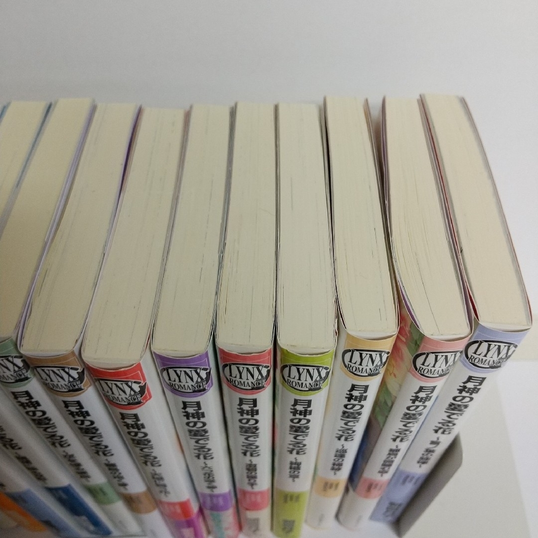 朝霞月子月神シリーズ将軍様シリーズ黄金竜シリーズ黒竜本黄金竜本 エンタメ/ホビーの本(ボーイズラブ(BL))の商品写真