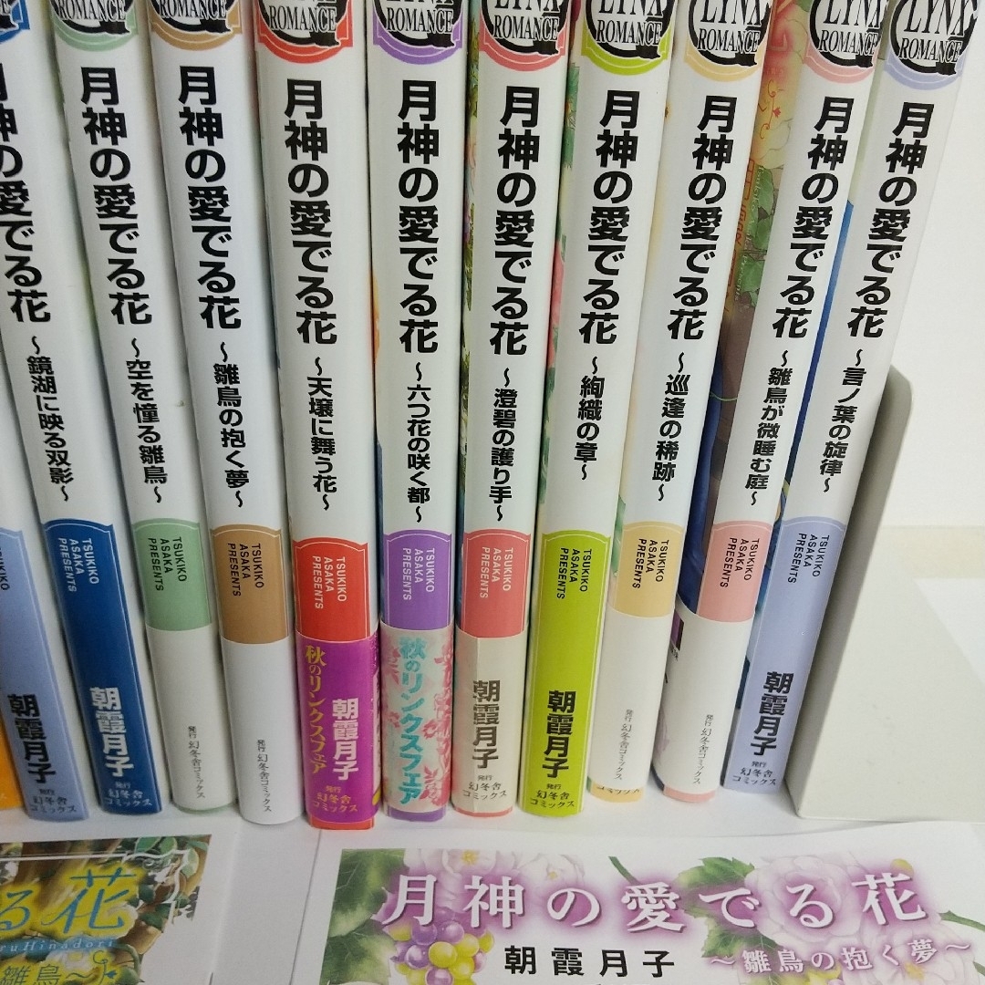 朝霞月子月神シリーズ将軍様シリーズ黄金竜シリーズ黒竜本黄金竜本 エンタメ/ホビーの本(ボーイズラブ(BL))の商品写真