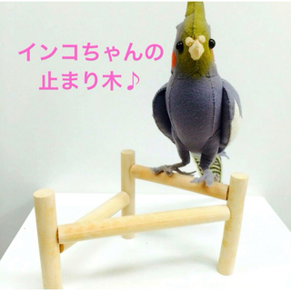 SANKO Shokai - とりま木   インコ   小鳥のホップステップパーチ