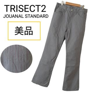 JOURNAL STANDARD - 美品 ジャーナルスタンダード トライセクト2 ストライプ パンツ グレー系