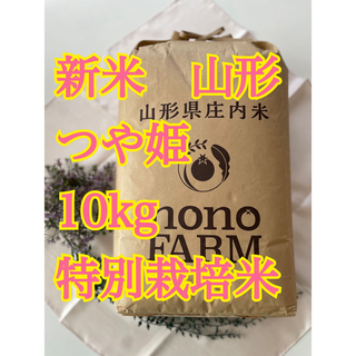 つや姫　10kg 山形　特別栽培米　令和5年(米/穀物)