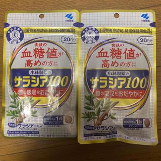 コバヤシセイヤク(小林製薬)の小林製薬 サラシア100 20日分 2袋セット 賞味期限 26年8月(その他)