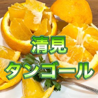 清見オレンジ　木なり完熟　約1キロ　別格で甘い(フルーツ)