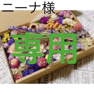 ドライフラワー 花材 たっぷり 7種詰め合わせ(ドライフラワー)