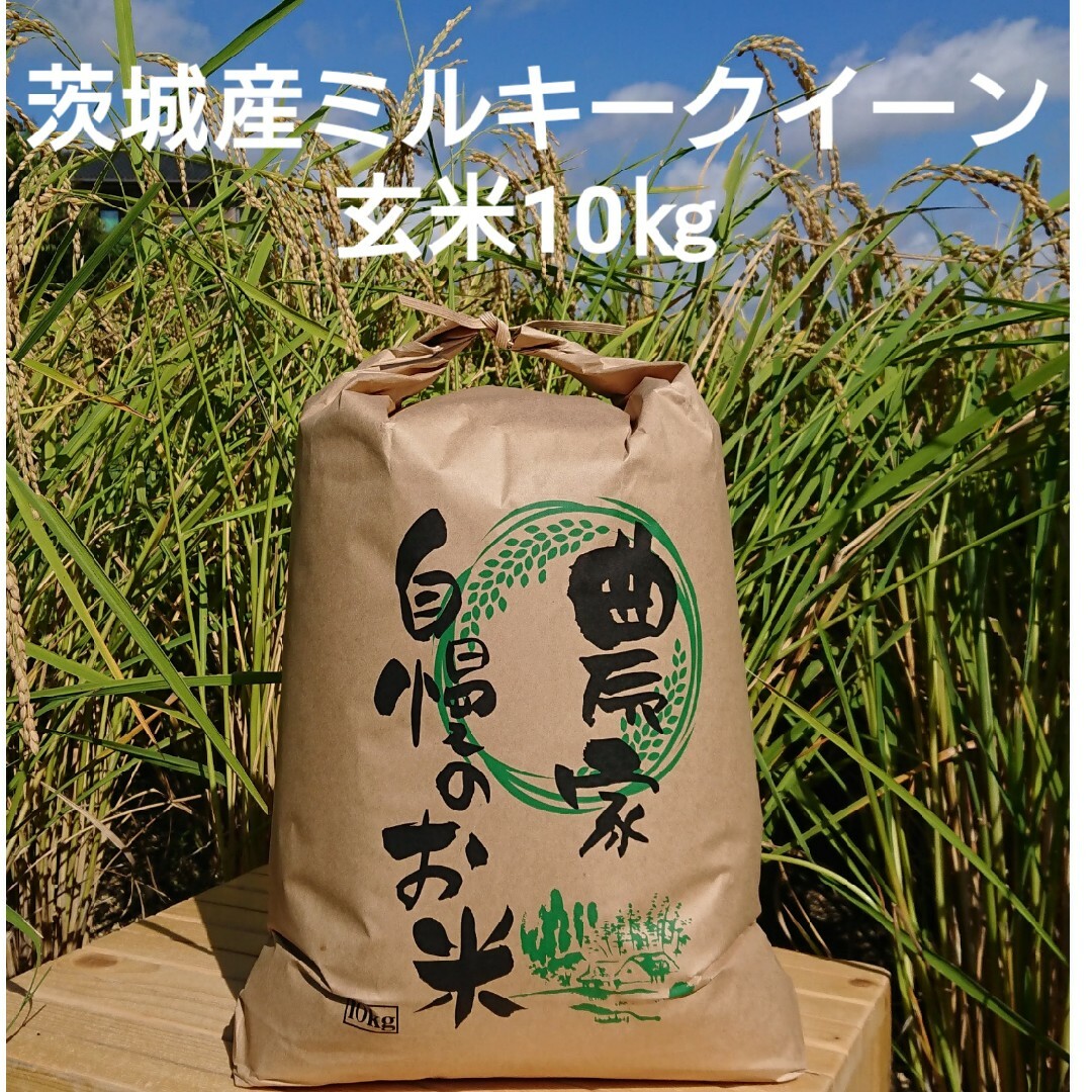 茨城令和5年産ミルキークイーン玄米10kg 食品/飲料/酒の食品(米/穀物)の商品写真