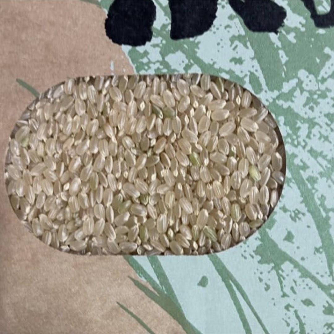 2023年産ヒノヒカリ玄米20 ｋｇ 【送料無料】 食品/飲料/酒の食品(米/穀物)の商品写真