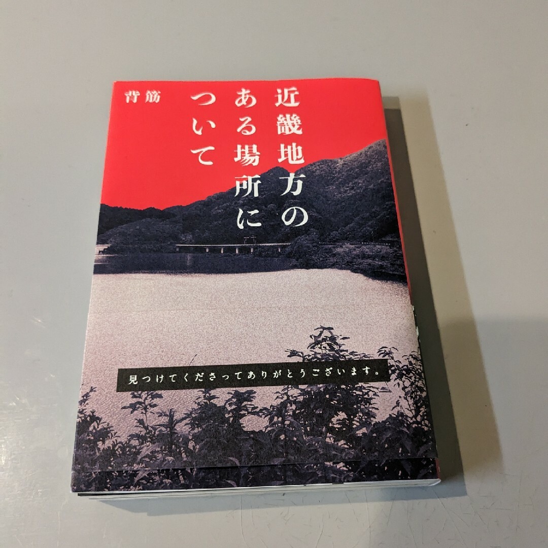 近畿地方のある場所について エンタメ/ホビーの本(文学/小説)の商品写真