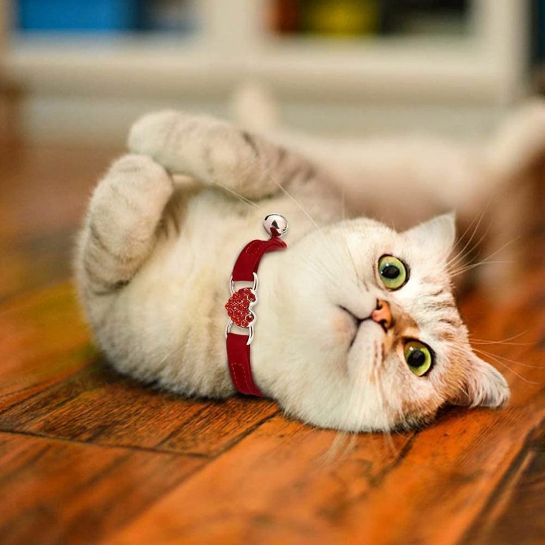 【色: レッド】WDPAWS 猫 首輪 猫の首輪 子猫 キラキラ クリスタル 首 その他のペット用品(猫)の商品写真
