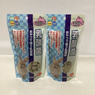 ハイペット 乳酸菌 85g 2袋(ペットフード)