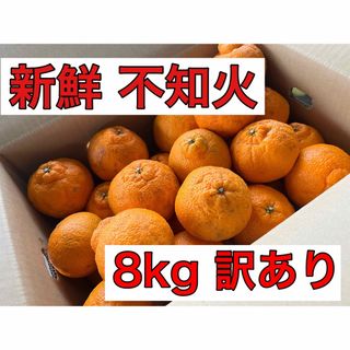 [大特価]不知火.デコポン8kg!!訳あり品.農家直送(フルーツ)