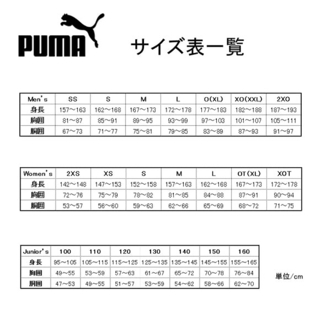 PUMA(プーマ)のプーマ半袖Tシャツ  吸水速乾ドライニット トレーニング/サッカー/サイズM メンズのトップス(Tシャツ/カットソー(半袖/袖なし))の商品写真