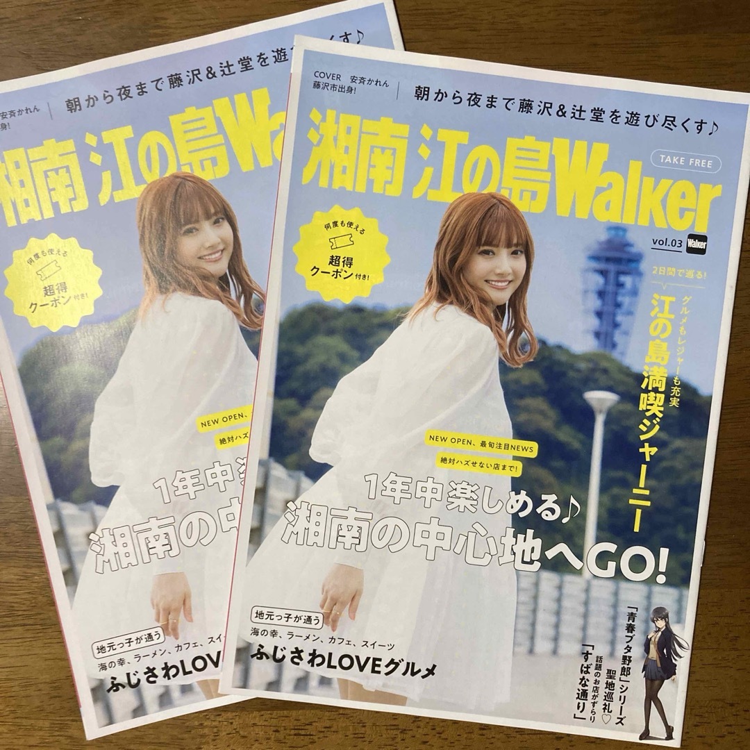 安斉かれん 湘南 江の島Walker vol.3 未使用 ２冊！ エンタメ/ホビーのタレントグッズ(女性タレント)の商品写真