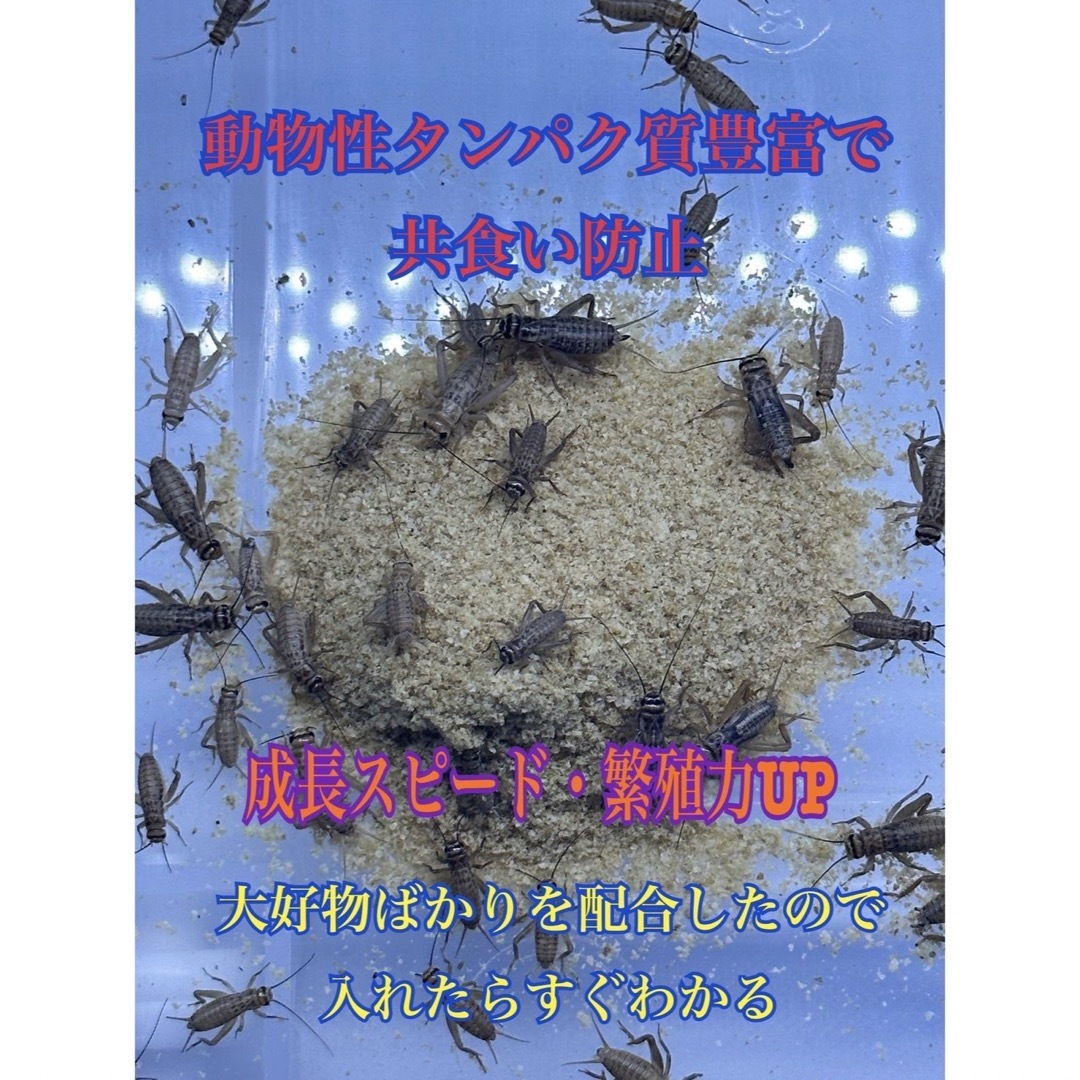 コオロギフード300g その他のペット用品(虫類)の商品写真