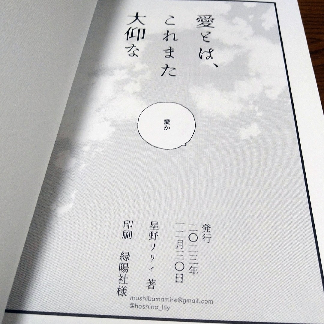 ゲゲゲの謎　同人誌　愛とは、これまた大仰な　星野リリィ著 エンタメ/ホビーの同人誌(一般)の商品写真