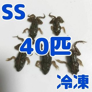 【国産】冷凍カエル 餌用 SS 40匹 胴長1.5~2cm ヌマガエル ヘビ用(爬虫類/両生類用品)