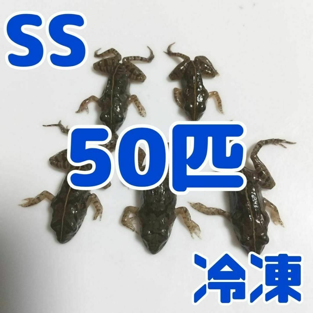 【国産】冷凍カエル 餌用 SS 50匹 胴長1.5~2cm ヌマガエル ヘビ用 その他のペット用品(爬虫類/両生類用品)の商品写真