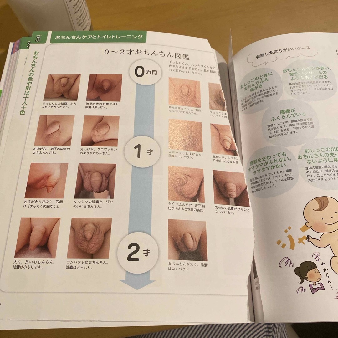 はじめてママ＆パパの０～６才男の子の育て方 エンタメ/ホビーの雑誌(結婚/出産/子育て)の商品写真