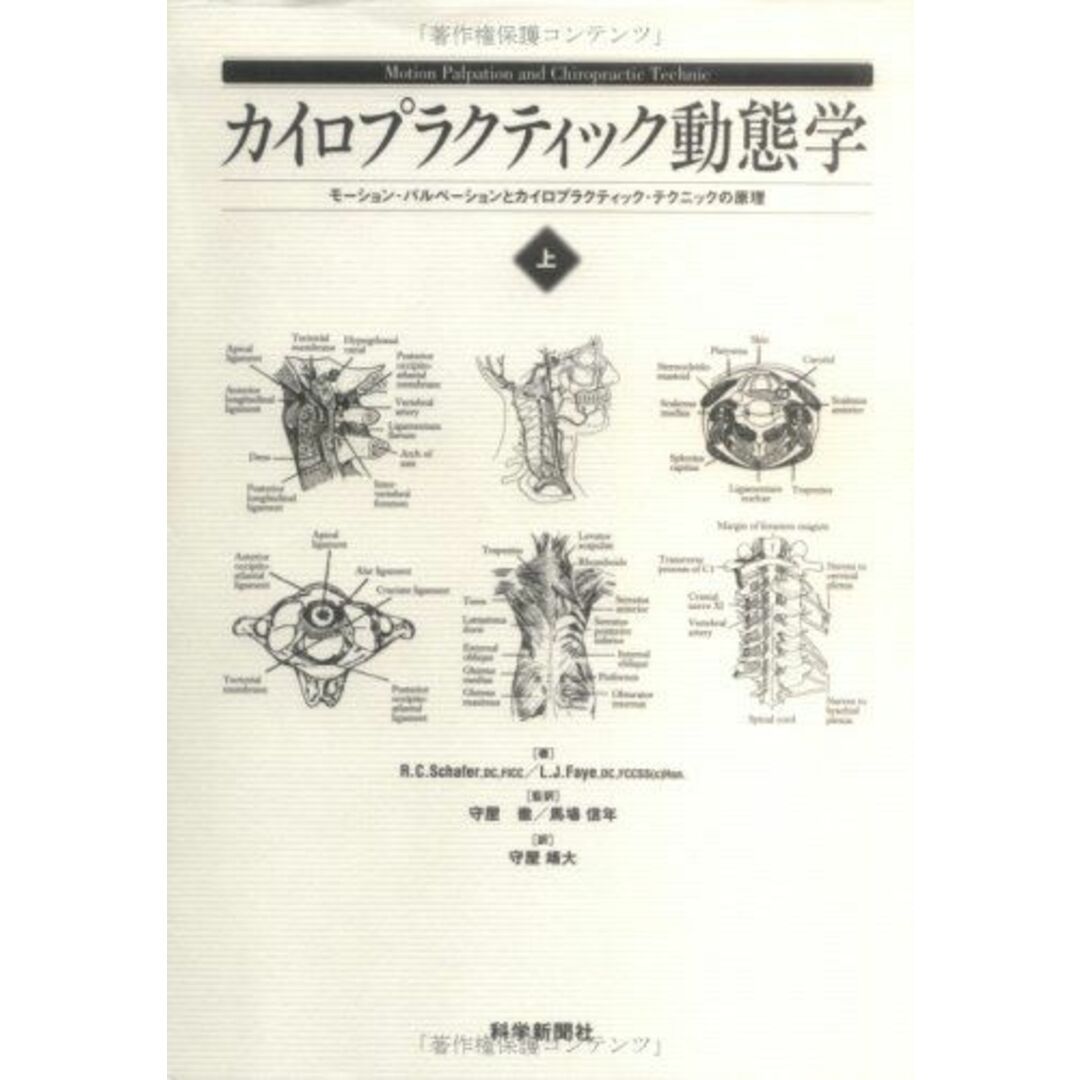 カイロプラクティック動態学 上巻―モーション・パルペーションとカイロプラクティック・ エンタメ/ホビーの本(語学/参考書)の商品写真