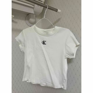 カルバンクライン(Calvin Klein)のcalvin klein tシャツ　新品(Tシャツ(半袖/袖なし))