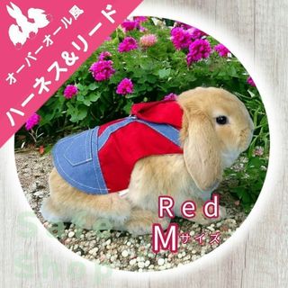 M　 小動物用　ハーネス リード モルモット ウサギ うさぎ　お散歩　かわいい(小動物)