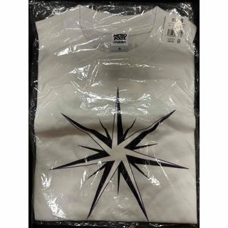 新品 三代目J Soul Brothers METROPOLIZツアーTシャツ(アイドルグッズ)