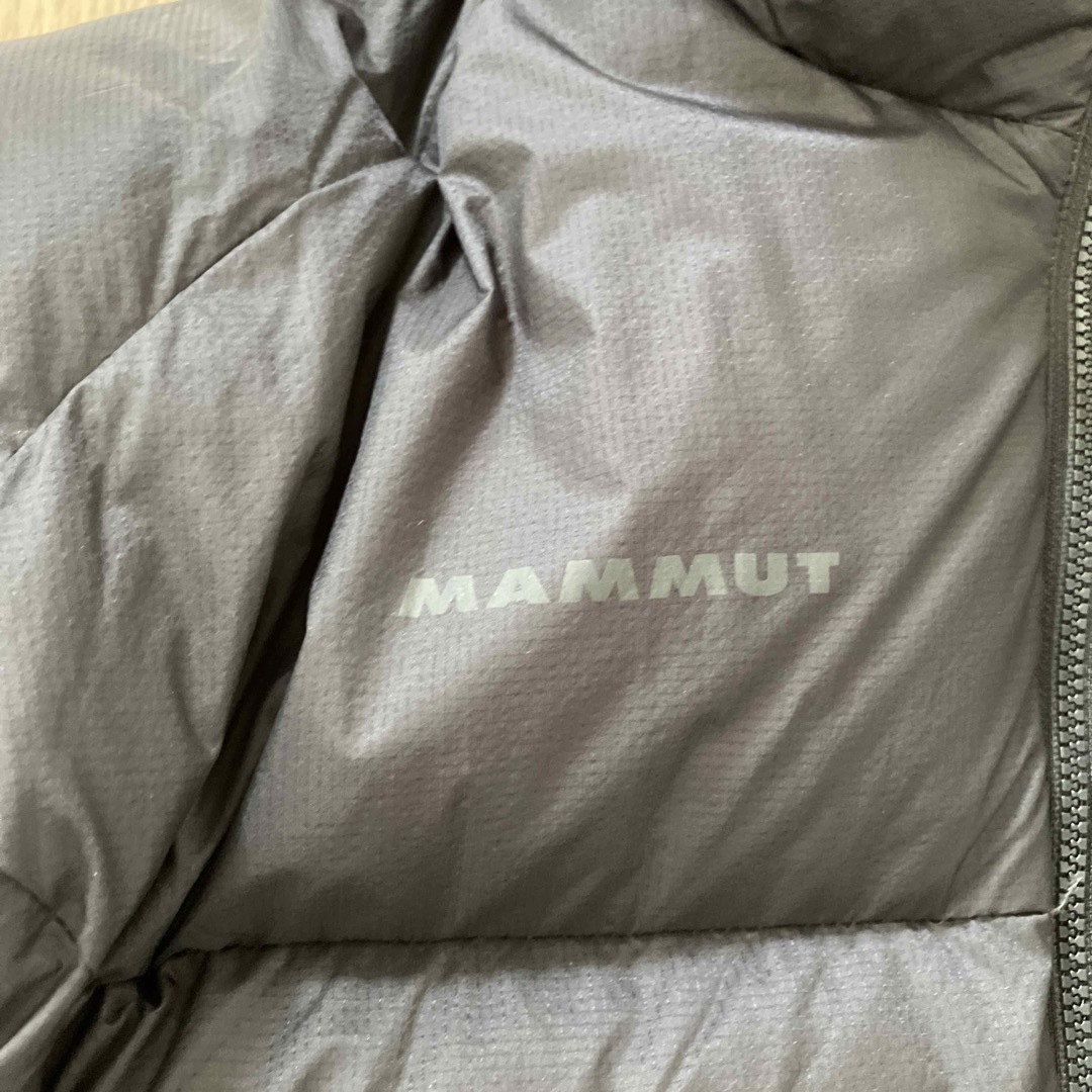 Mammut(マムート)のMAMMUT Meron IN Hooded Jacket AF Men  メンズのジャケット/アウター(ダウンジャケット)の商品写真