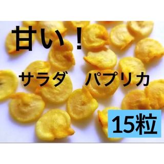 甘い サラダ パプリカ 15粒 赤◆ 種から 無農薬 無化学肥料 自然菜園(野菜)