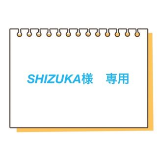 SHIZUKA様　専用(スクールシューズ/上履き)