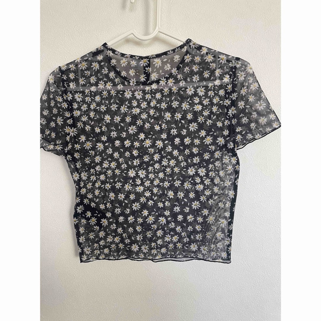 H&M(エイチアンドエム)のシアートップス レディースのトップス(Tシャツ(半袖/袖なし))の商品写真