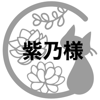 多肉植物　円舞　花麗　青リンゴ　サフラン　ラノリン球　６苗セット(その他)
