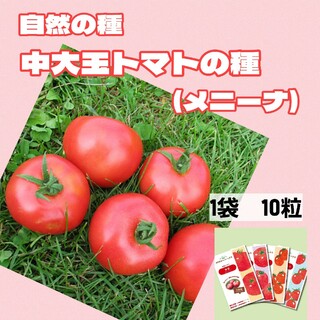 中大玉トマトの種　メニーナ　自然農法で育成・採種した国産の種(野菜)