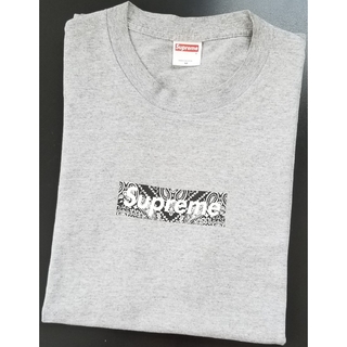 シュプリーム(Supreme)のレア 初期 ペイズリー Box Logo tee　シュプリーム(Tシャツ/カットソー(半袖/袖なし))