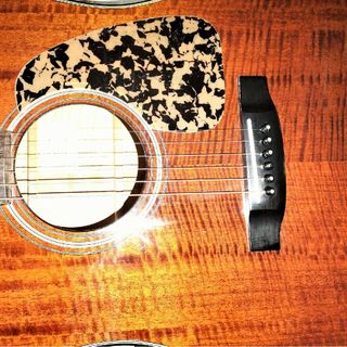 タカミネ(Takamine)のタカミネ カーリーシカモア（スイスメイプル） TD-204(アコースティックギター)